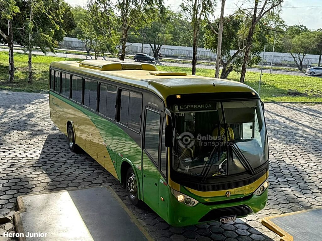Transpassos