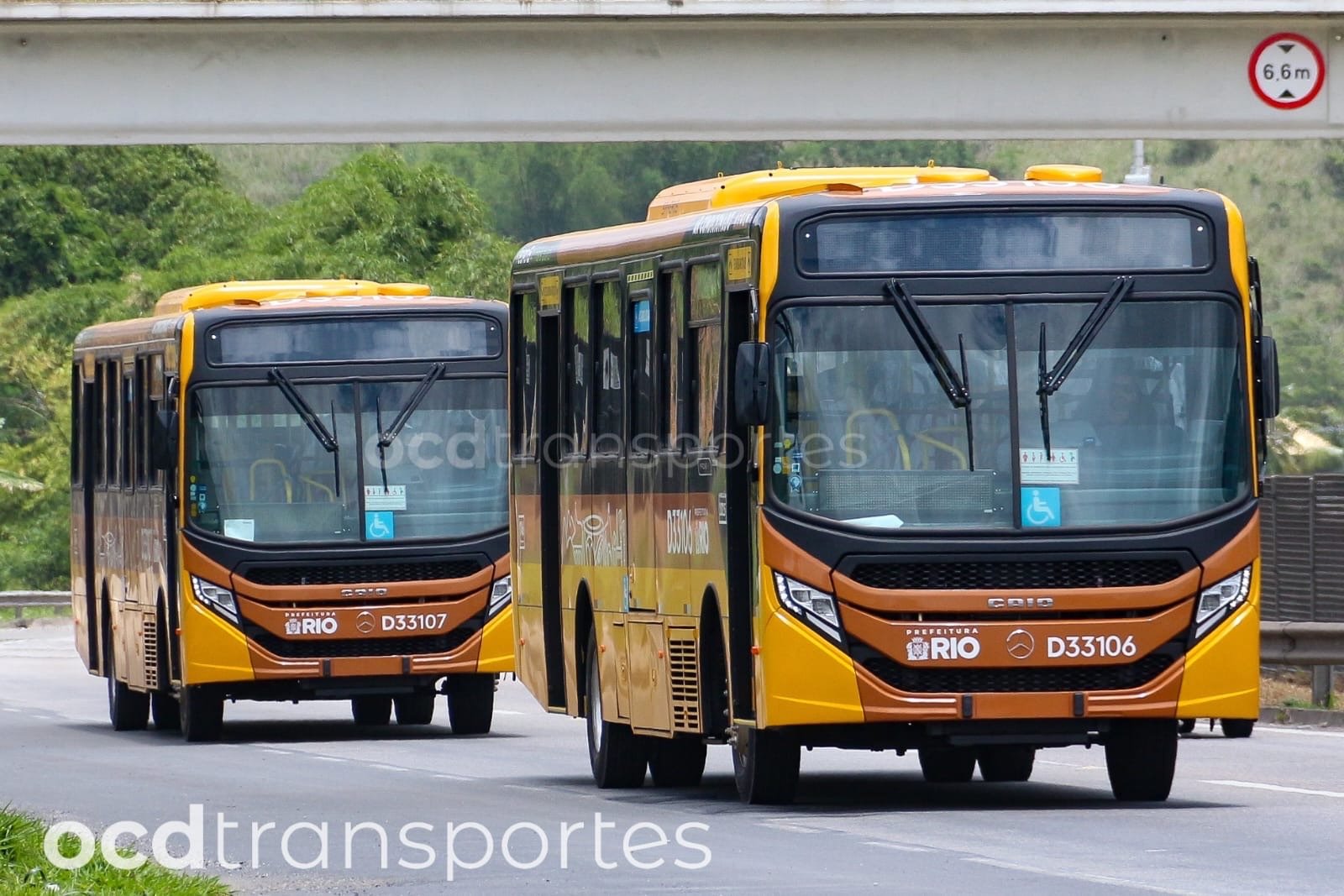 Prefeitura do Rio