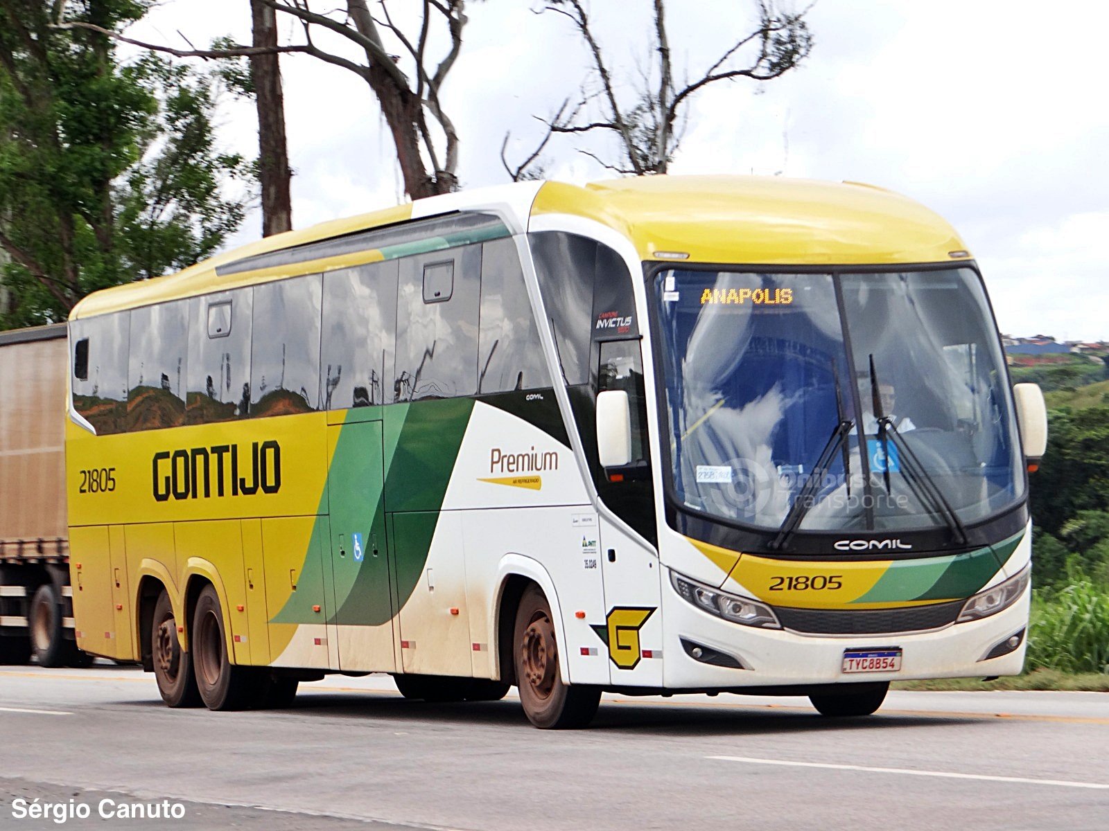 Gontijo