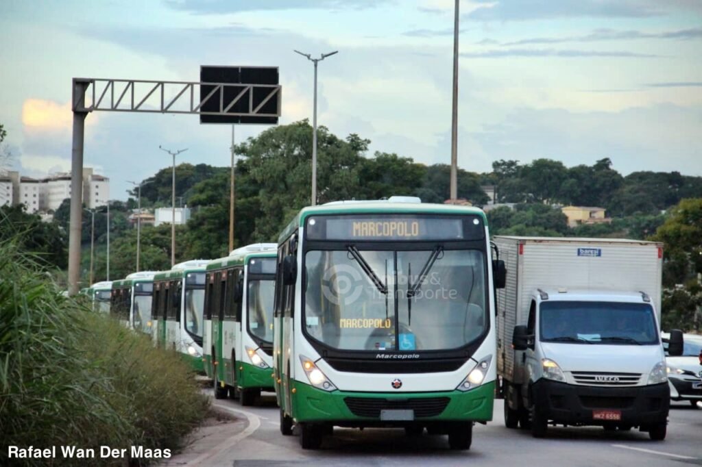 Viação Paraense Cuiabá Transportes