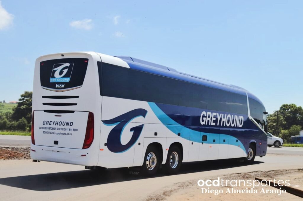 Greyhound