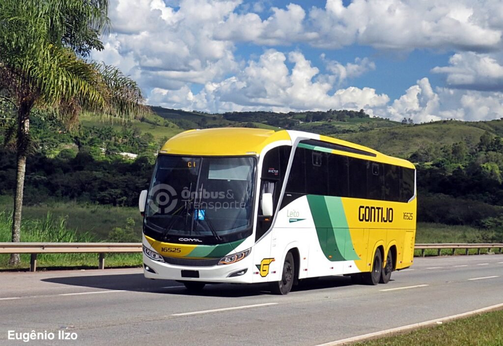 Gontijo
