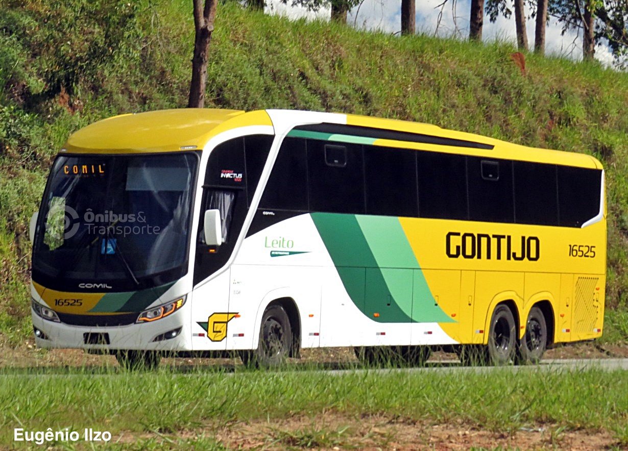 Gontijo