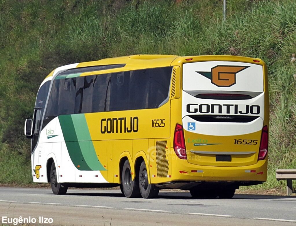 Gontijo