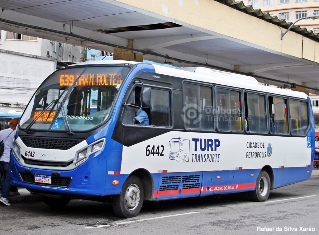 Turp