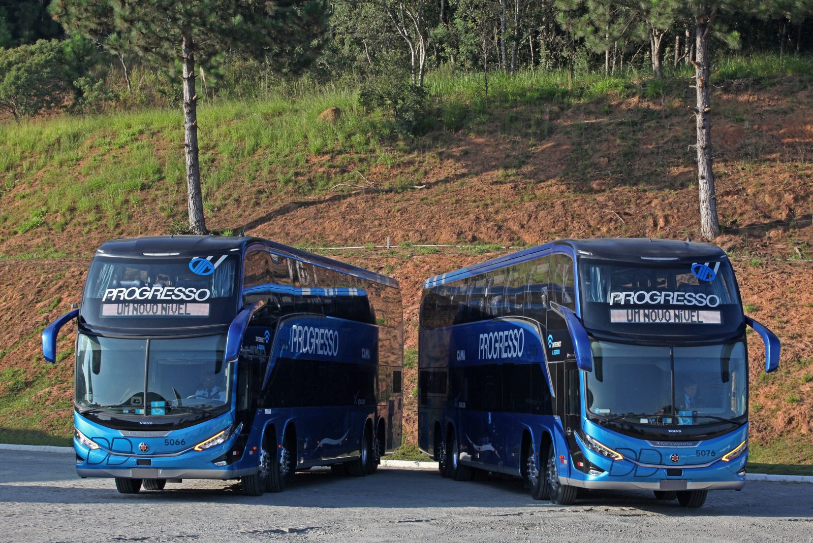 Auto Viação Progresso