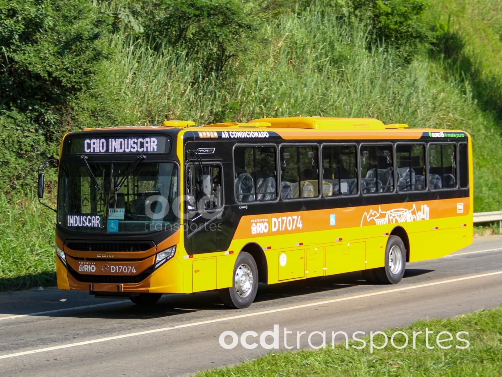 Auto Viação Palmares