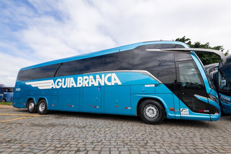 Águia Branca