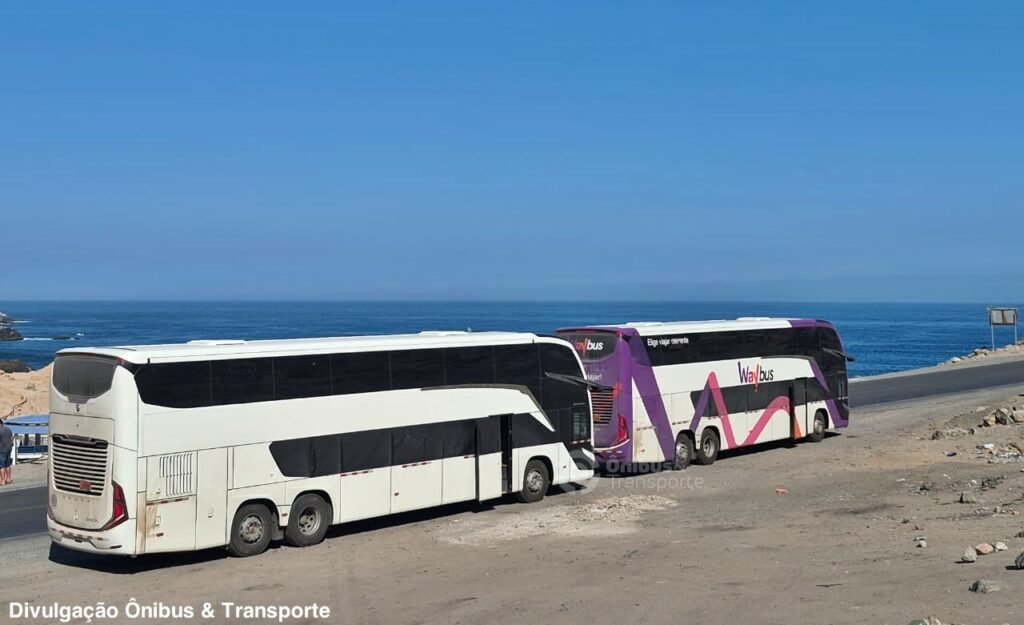 WayBus reforça frota no Peru com cinco novos Marcopolo Paradiso G8 Double Decker 1 WayBus