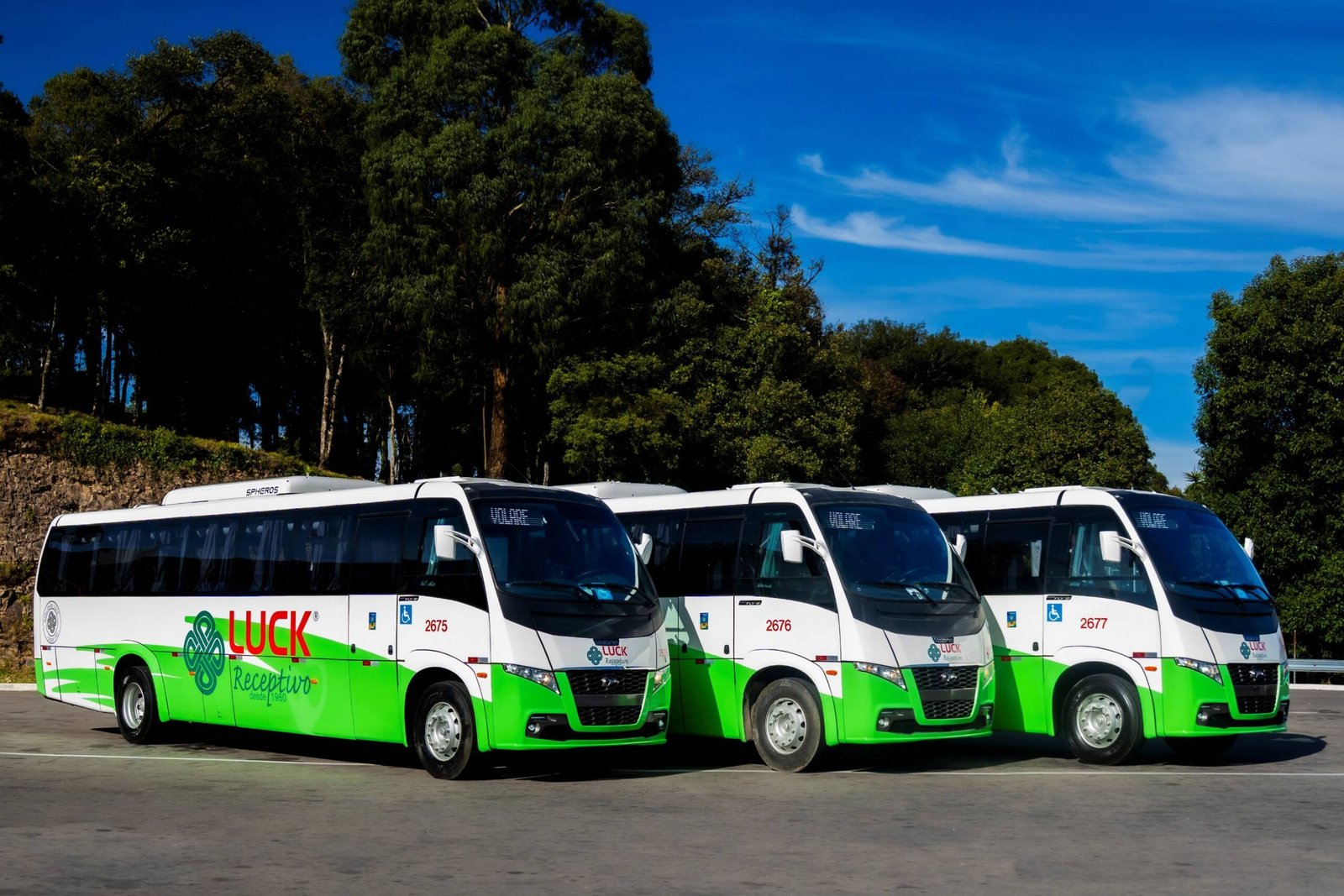 Volare