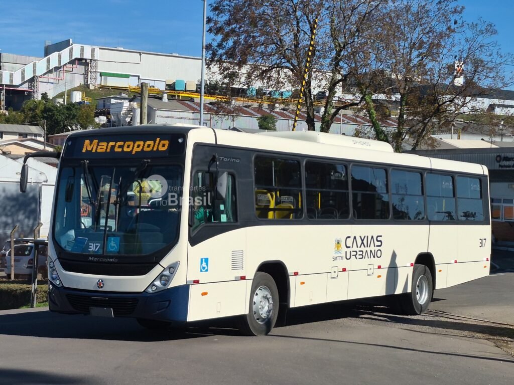 Visate