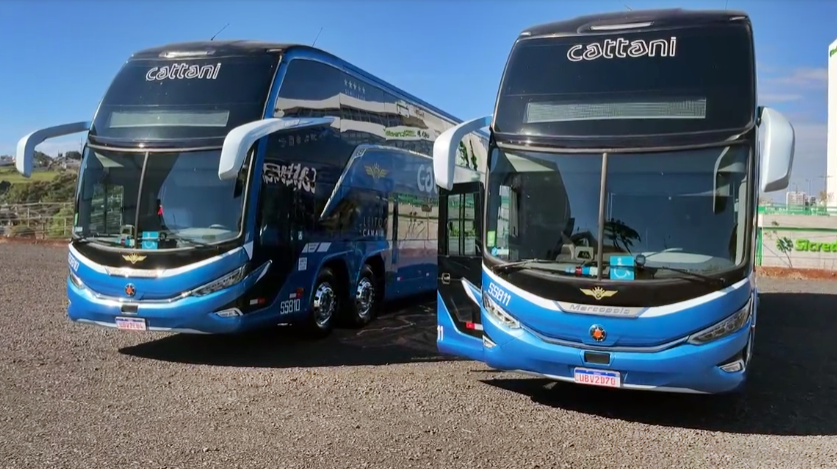 Cattani