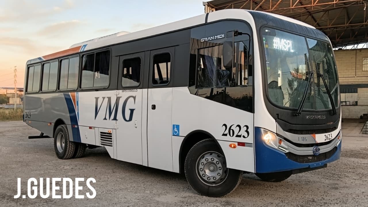 VMG