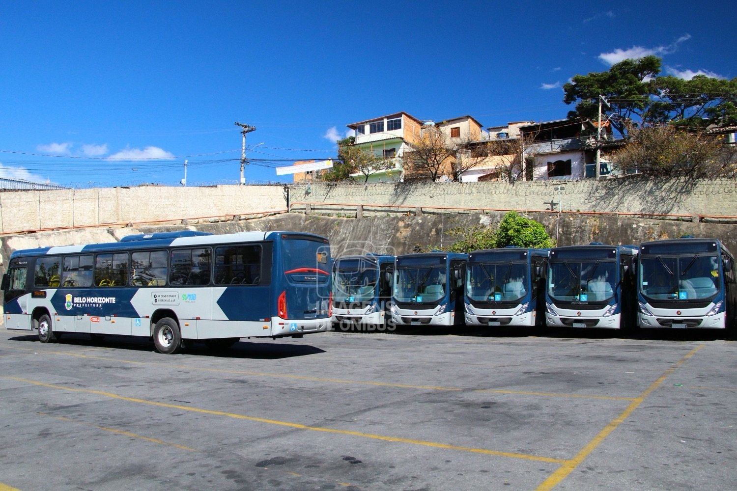 Coletivo São Lucas novos ônibus Marcopolo Torino 0 km para Belo Horizonte