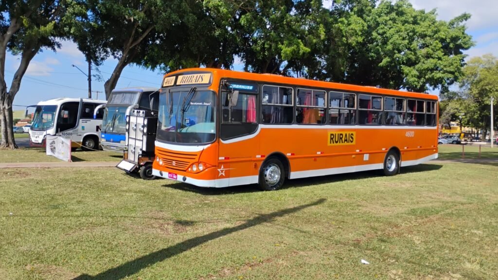 Red Bus Day