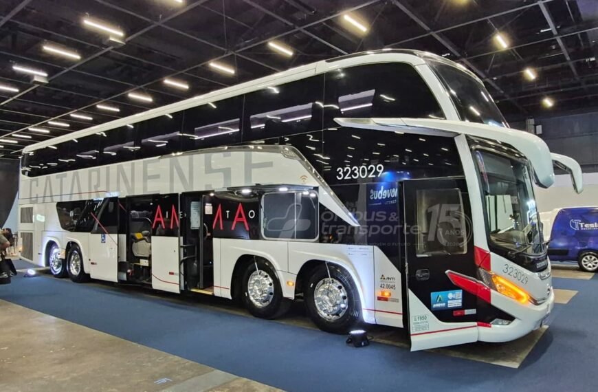 Renovebus