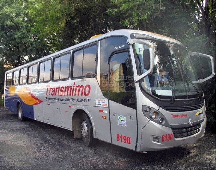 Transmimo