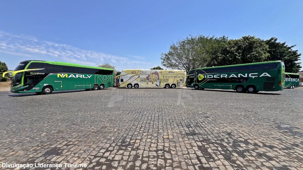 Empresa Liderança