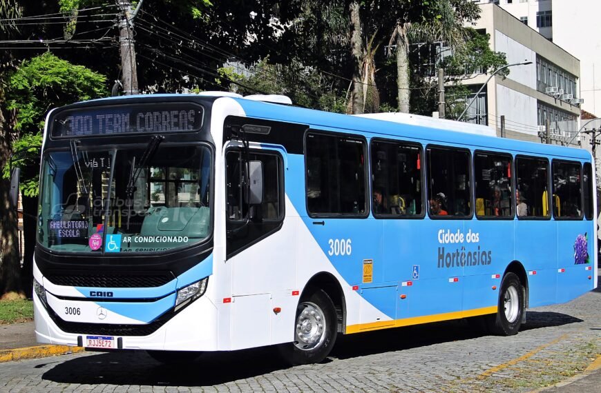 Cidade das Hortênsias