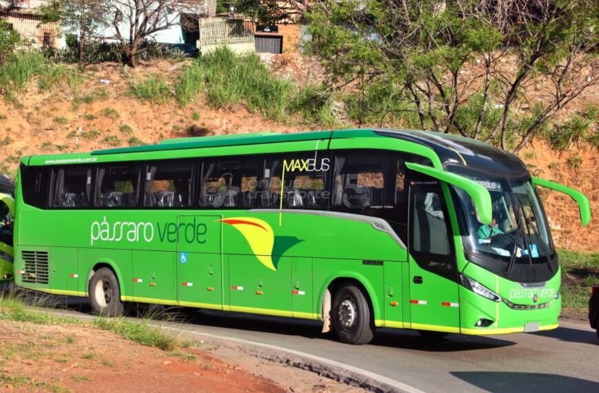 Pássaro Verde