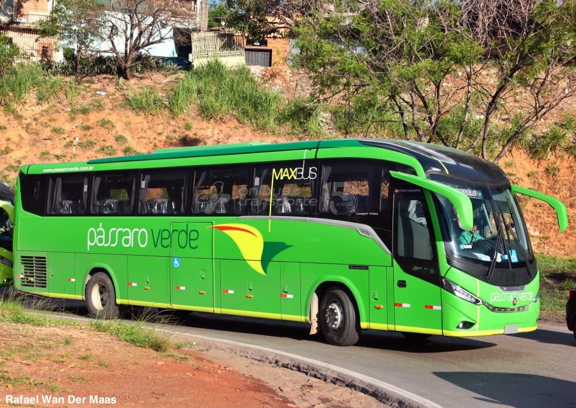 Pássaro Verde recebe primeiros ônibus Marcopolo Viaggio G8 1050 0 km