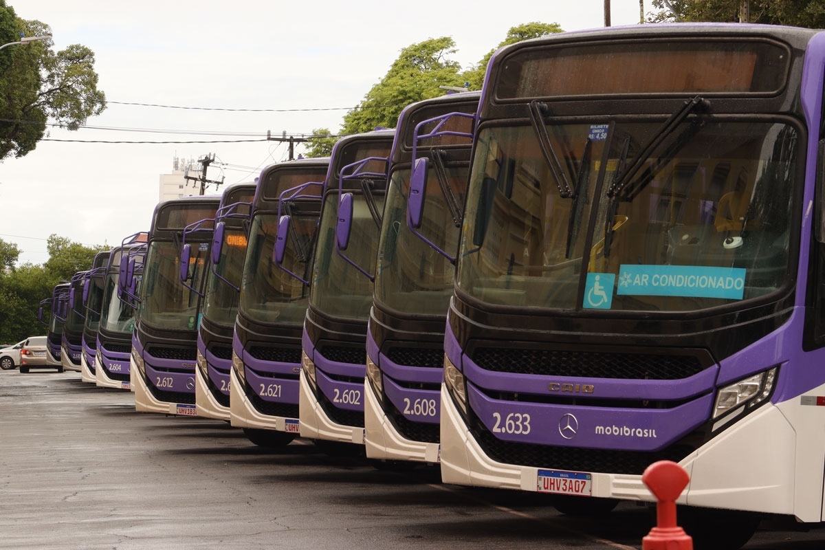 MobiBrasil Pernambuco recebe 80 novos ônibus Caio com chassis Mercedes-Benz para renovar frota no Grande Recife